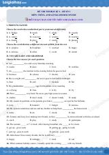 Đề thi học kì 1 Tiếng Anh 6 English Discovery - Đề số 3